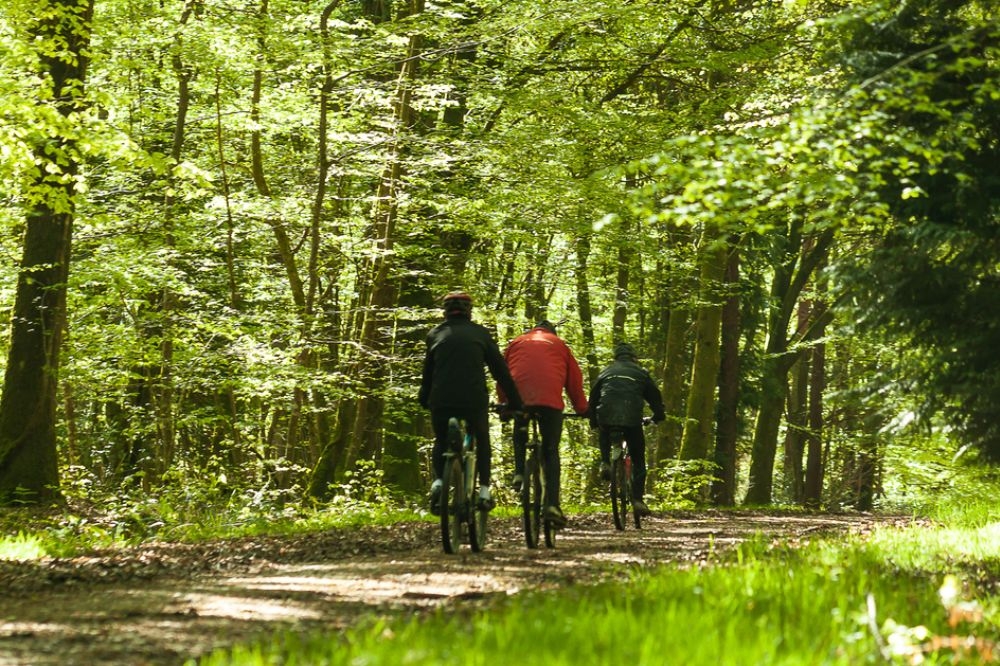 Sorties Vélo